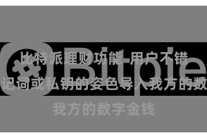 比特派理财功能 用户不错通过助记词或私钥的姿色导入我方的数字金钱