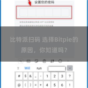 比特派扫码 选择Bitpie的原因，你知道吗？