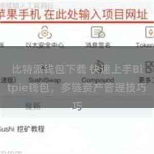 比特派钱包下载 快速上手Bitpie钱包，多链资产管理技巧