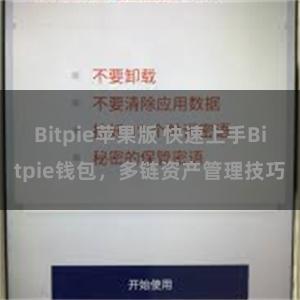 Bitpie苹果版 快速上手Bitpie钱包，多链资产管理技巧