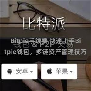 Bitpie手续费 快速上手Bitpie钱包，多链资产管理技巧