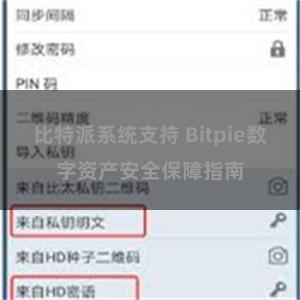 比特派系统支持 Bitpie数字资产安全保障指南