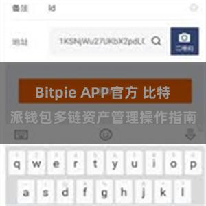 Bitpie APP官方 比特派钱包多链资产管理操作指南