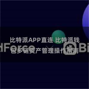 比特派APP直连 比特派钱包多链资产管理操作指南