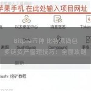 Bitpie币种 比特派钱包多链资产管理技巧：全面攻略