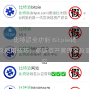 比特派全功能 Bitpie钱包使用技巧：多链资产管理全攻略