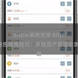 Bitpie系统支持 Bitpie钱包使用技巧：多链资产管理全攻略