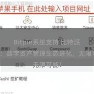 Bitpie系统支持 比特派钱包：数字资产管理生态进化，无限可能！