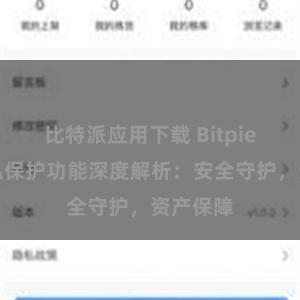 比特派应用下载 Bitpie钱包隐私保护功能深度解析：安全守护，资产保障