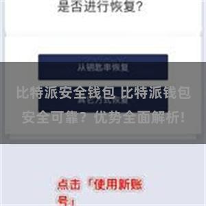 比特派安全钱包 比特派钱包安全可靠？优势全面解析!