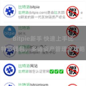 Bitpie新手 快速上手比特派钱包，多链资产管理全攻略