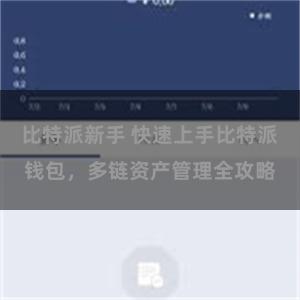 比特派新手 快速上手比特派钱包，多链资产管理全攻略