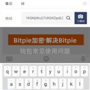 Bitpie加密 解决Bitpie钱包常见使用问题