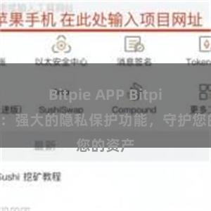 Bitpie APP Bitpie钱包：强大的隐私保护功能，守护您的资产