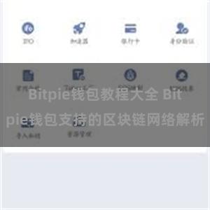 Bitpie钱包教程大全 Bitpie钱包支持的区块链网络解析