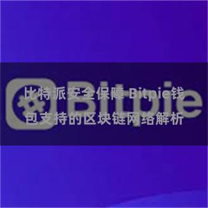 比特派安全保障 Bitpie钱包支持的区块链网络解析