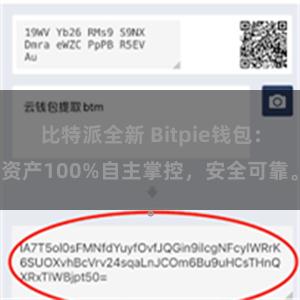 比特派全新 Bitpie钱包：资产100%自主掌控，安全可靠。