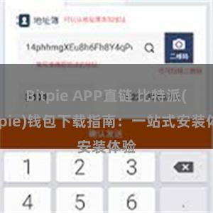 Bitpie APP直链 比特派(Bitpie)钱包下载指南：一站式安装体验