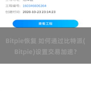 Bitpie恢复 如何通过比特派(Bitpie)设置交易加速？