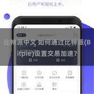 比特派中文 如何通过比特派(Bitpie)设置交易加速？