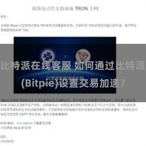 比特派在线客服 如何通过比特派(Bitpie)设置交易加速？