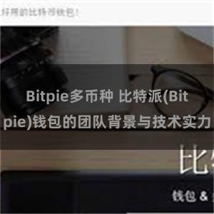 Bitpie多币种 比特派(Bitpie)钱包的团队背景与技术实力