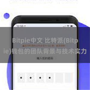 Bitpie中文 比特派(Bitpie)钱包的团队背景与技术实力