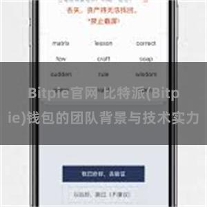 Bitpie官网 比特派(Bitpie)钱包的团队背景与技术实力