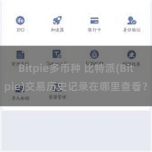 Bitpie多币种 比特派(Bitpie)交易历史记录在哪里查看？