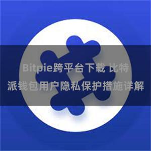 Bitpie跨平台下载 比特派钱包用户隐私保护措施详解