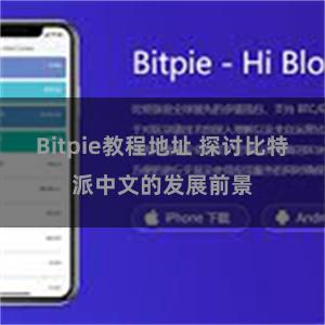 Bitpie教程地址 探讨比特派中文的发展前景