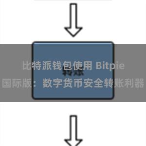 比特派钱包使用 Bitpie国际版：数字货币安全转账利器