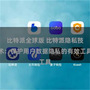 比特派全球版 比特派隐私技术：保护用户数据隐私的有效工具